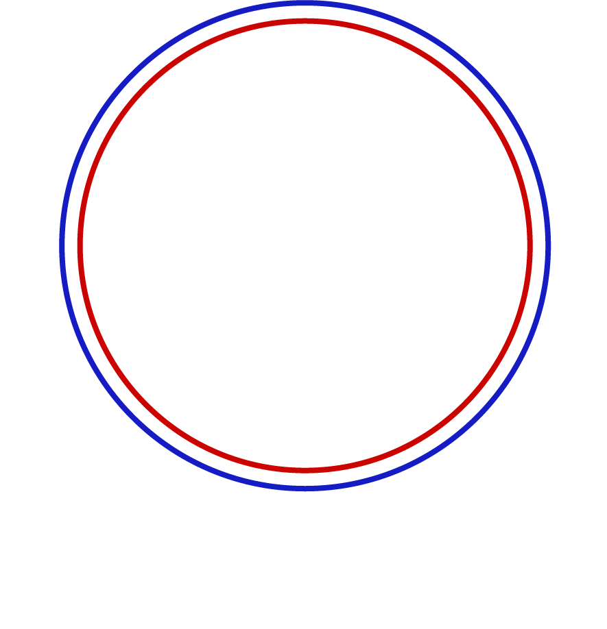 Steinbock  Performance Silikonschläuche
